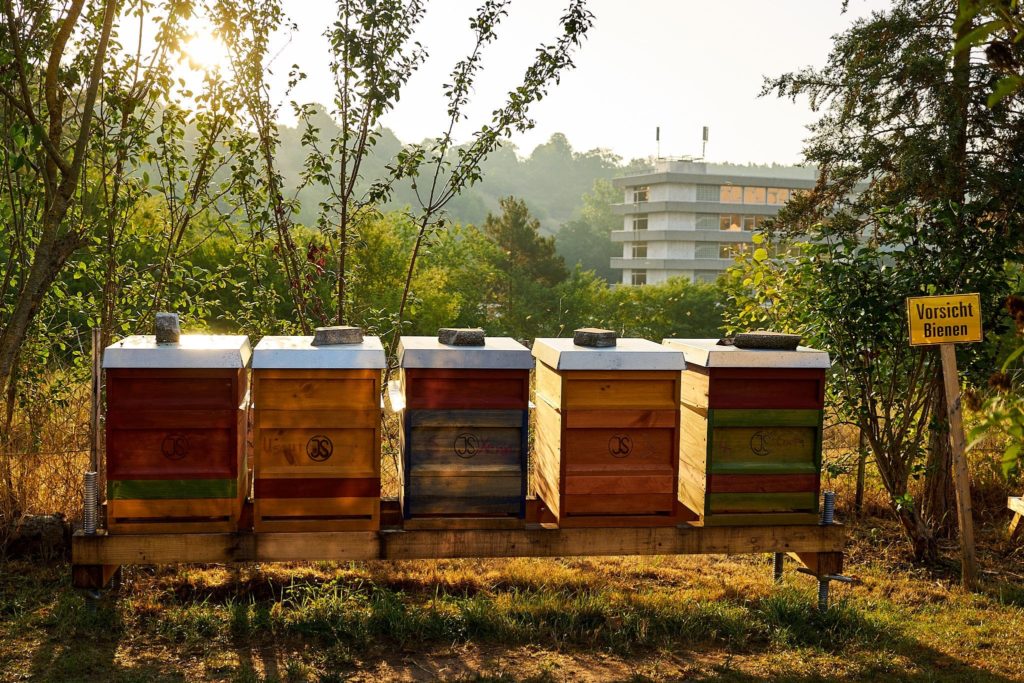 Bienenstand unserer Imkerei. Imkern im angassten Brutraum